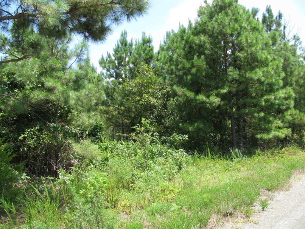 Tbd Tbd Jace's Trail Snow, OK 74567 - Photo 3 of 11 a view of a lush green forest