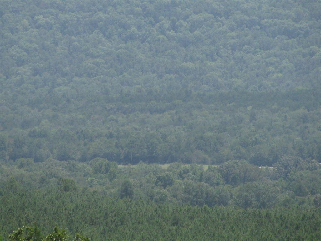 Tbd Tbd Jace's Trail Snow, OK 74567 - Photo 4 of 11 a bathroom with a shower