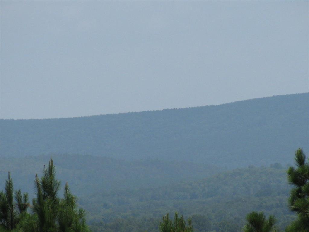 Tbd Tbd Jace's Trail Snow, OK 74567 - Photo 5 of 11