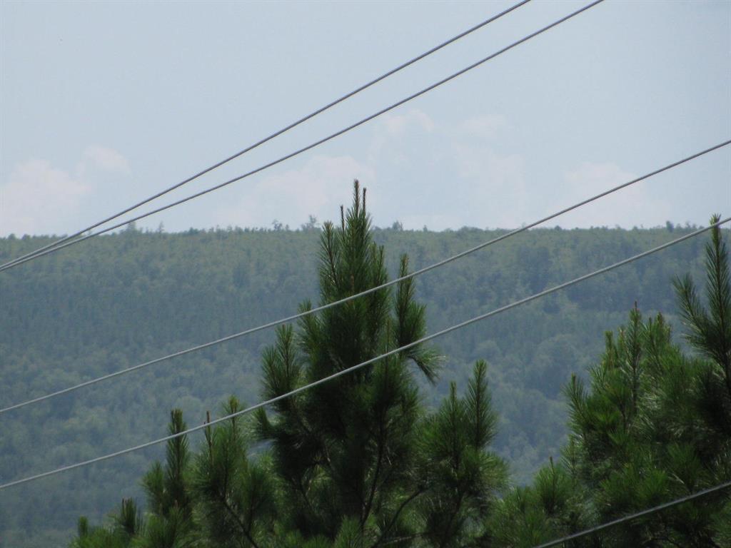 Tbd Tbd Jace's Trail Snow, OK 74567 - Photo 7 of 11