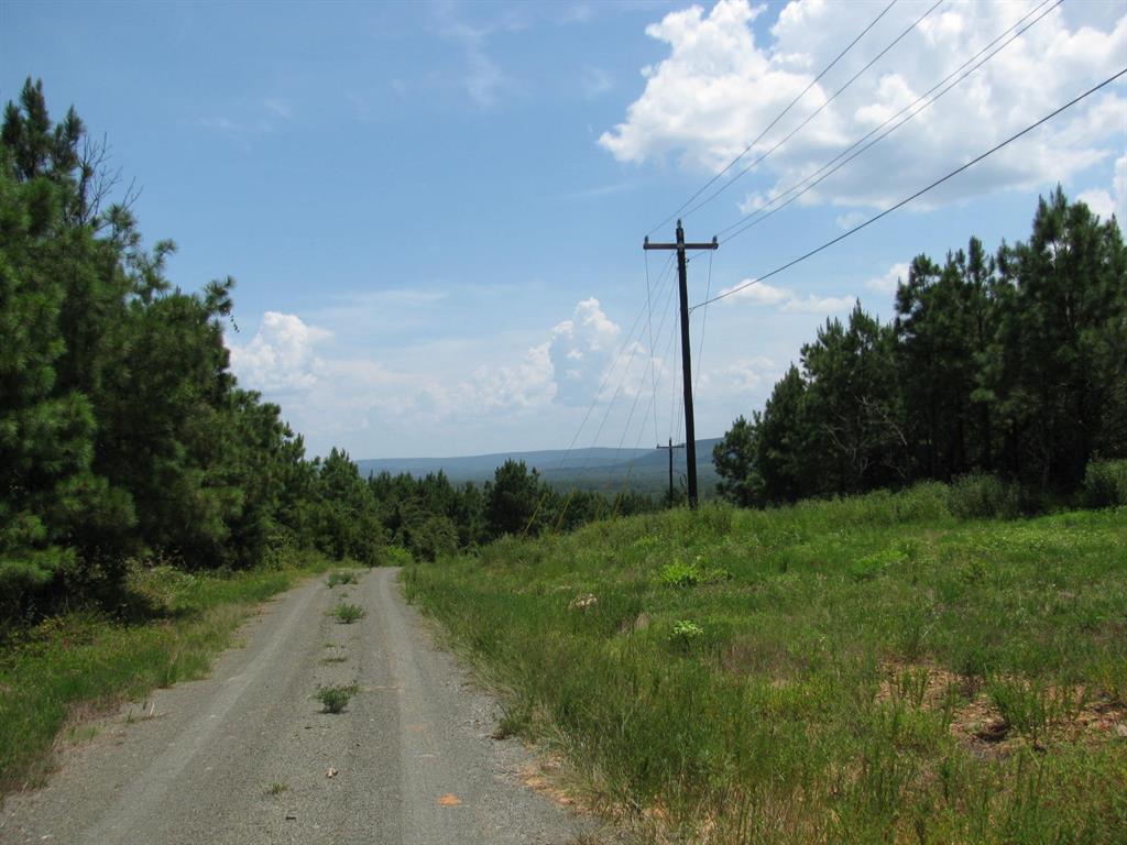 Tbd Tbd Jace's Trail Snow, OK 74567 - Photo 8 of 11 a view of a yard with plants and large trees