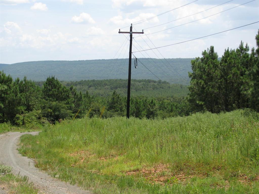 Tbd Tbd Jace's Trail Snow, OK 74567 - Photo 9 of 11 a view of a garden with a tree