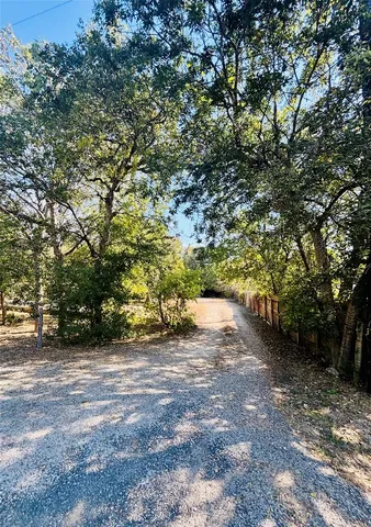 a view of a yard with plants and trees