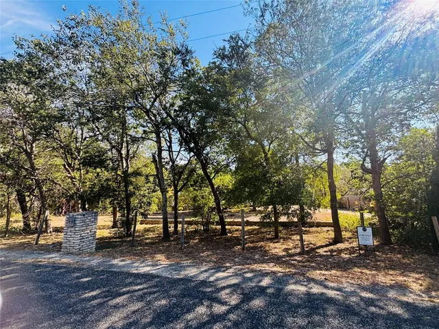 a view of a park with large trees