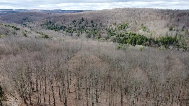 $42,900 | Pritchard Road, West Winfield, NY 13491