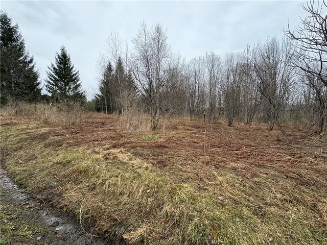 $42,900 | Pritchard Road, West Winfield, NY 13491