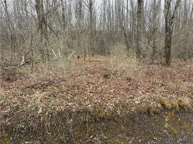 $42,900 | Pritchard Road, West Winfield, NY 13491