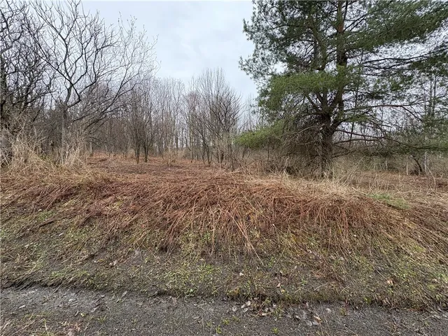 $42,900 | Pritchard Road, West Winfield, NY 13491