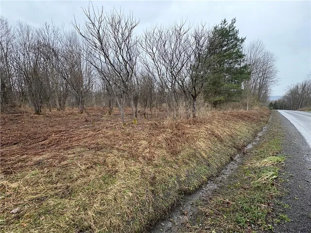 $42,900 | Pritchard Road, West Winfield, NY 13491