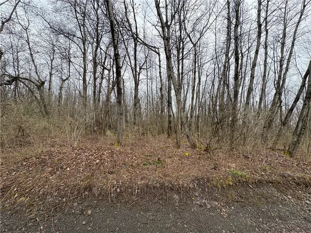 $42,900 | Pritchard Road, West Winfield, NY 13491