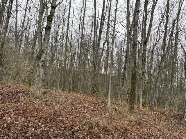 $42,900 | Pritchard Road, West Winfield, NY 13491