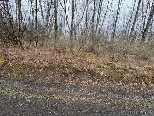 $42,900 | Pritchard Road, West Winfield, NY 13491