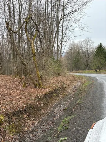 $42,900 | Pritchard Road, West Winfield, NY 13491