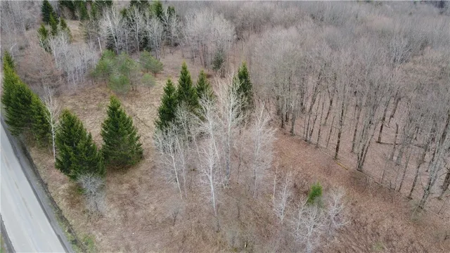 $42,900 | Pritchard Road, West Winfield, NY 13491