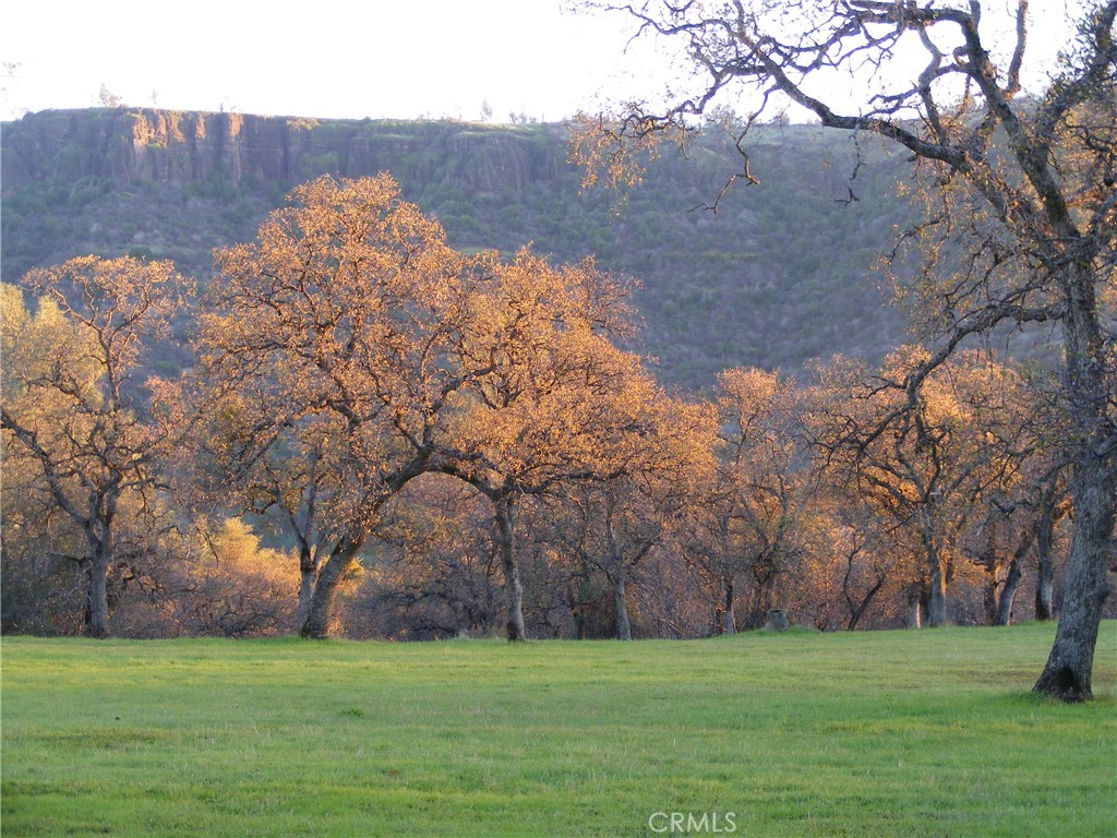 1985 Flatiron Road Chico, CA 95928 - Photo 62 of 67