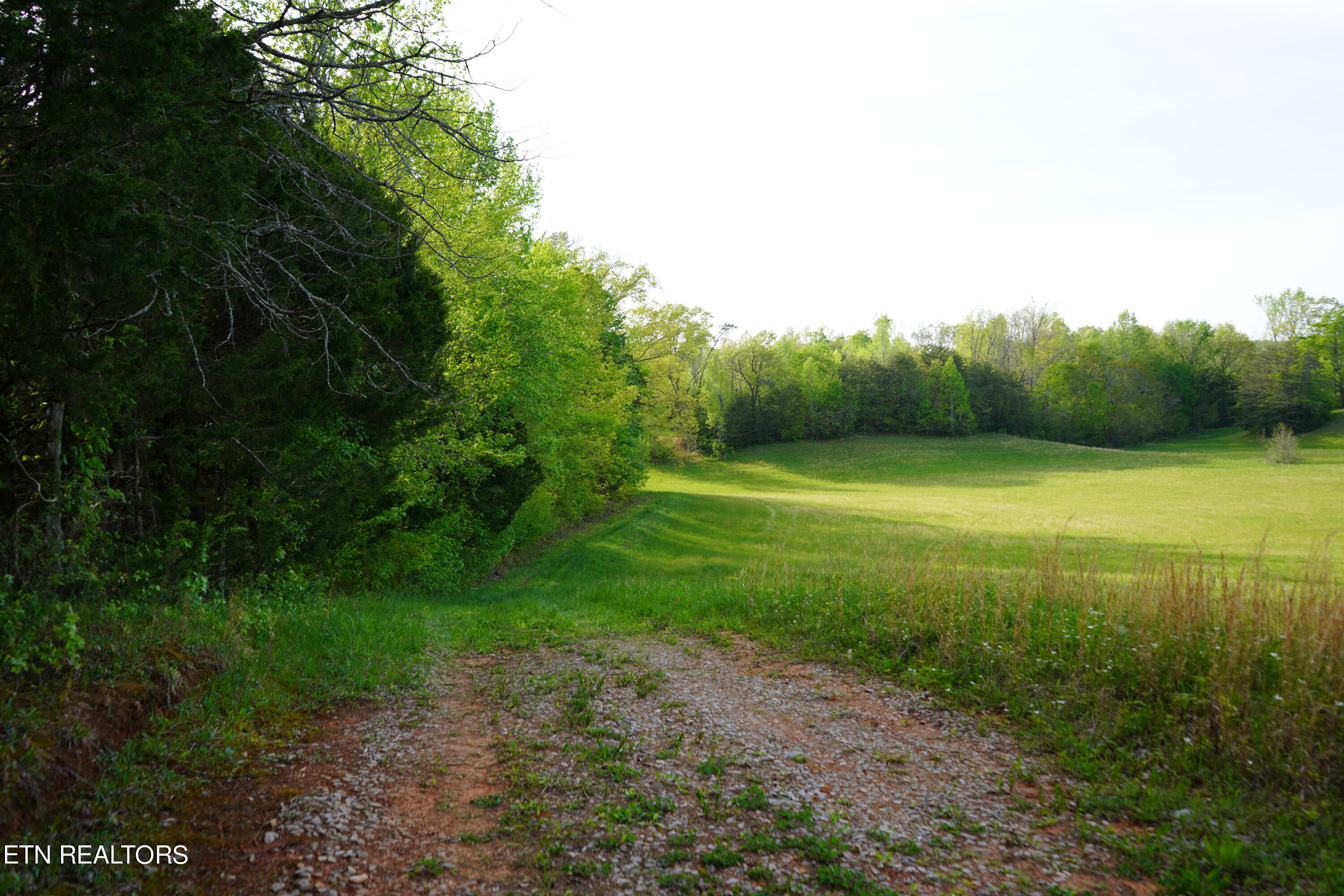 Pollard Road Walling, TN 38587 - Photo 15 of 26 15