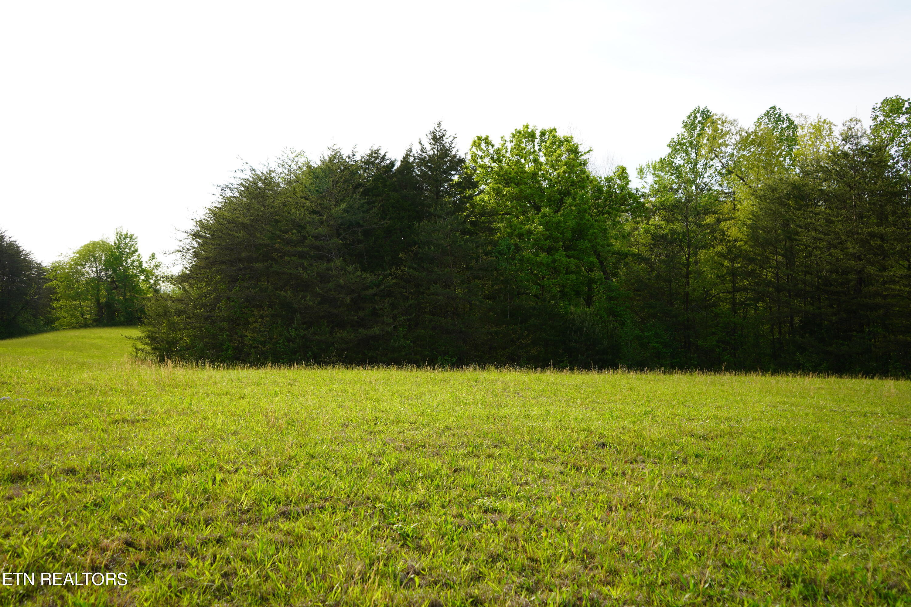 Pollard Road Walling, TN 38587 - Photo 22 of 26 DSC00650