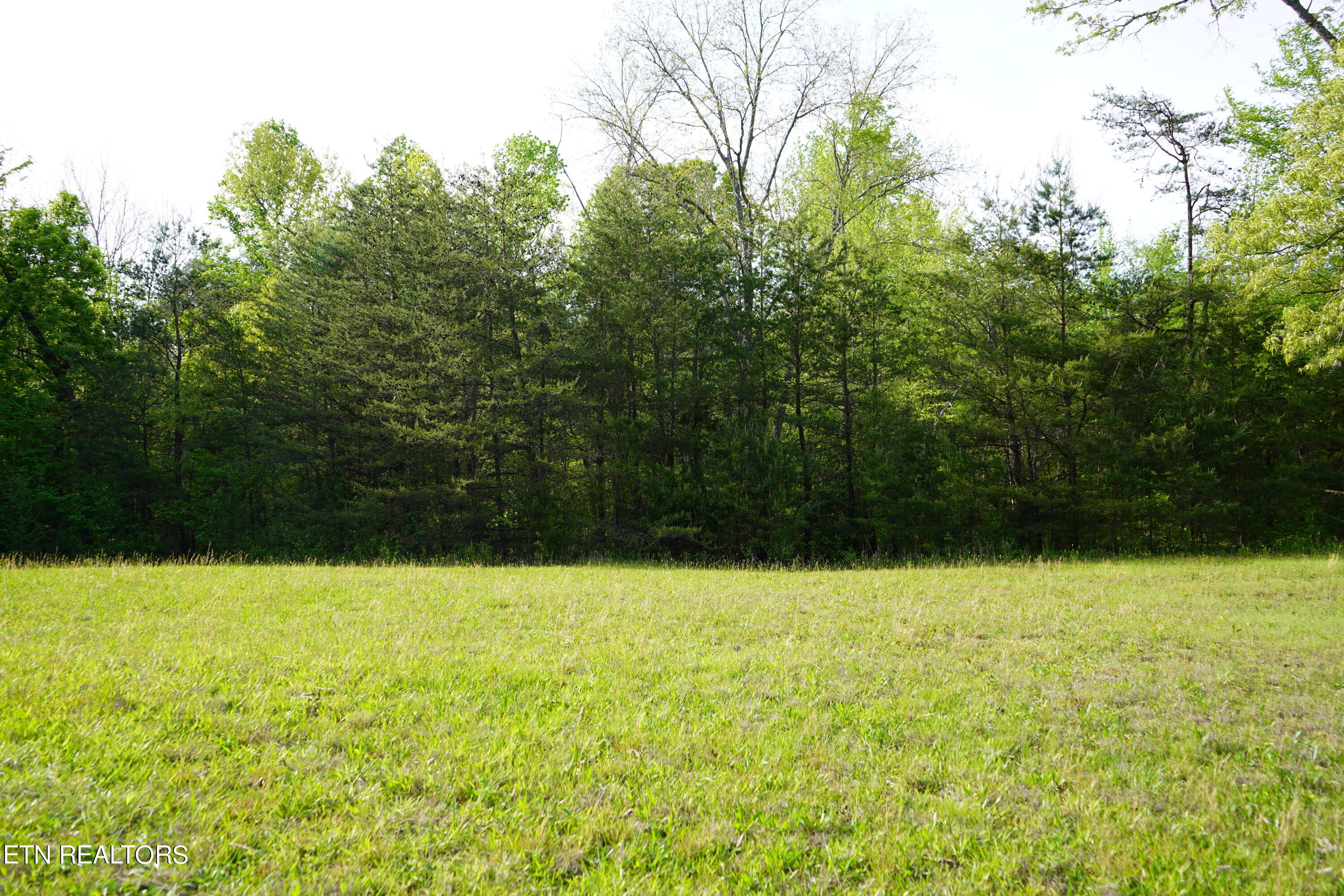 Pollard Road Walling, TN 38587 - Photo 23 of 26 DSC00651