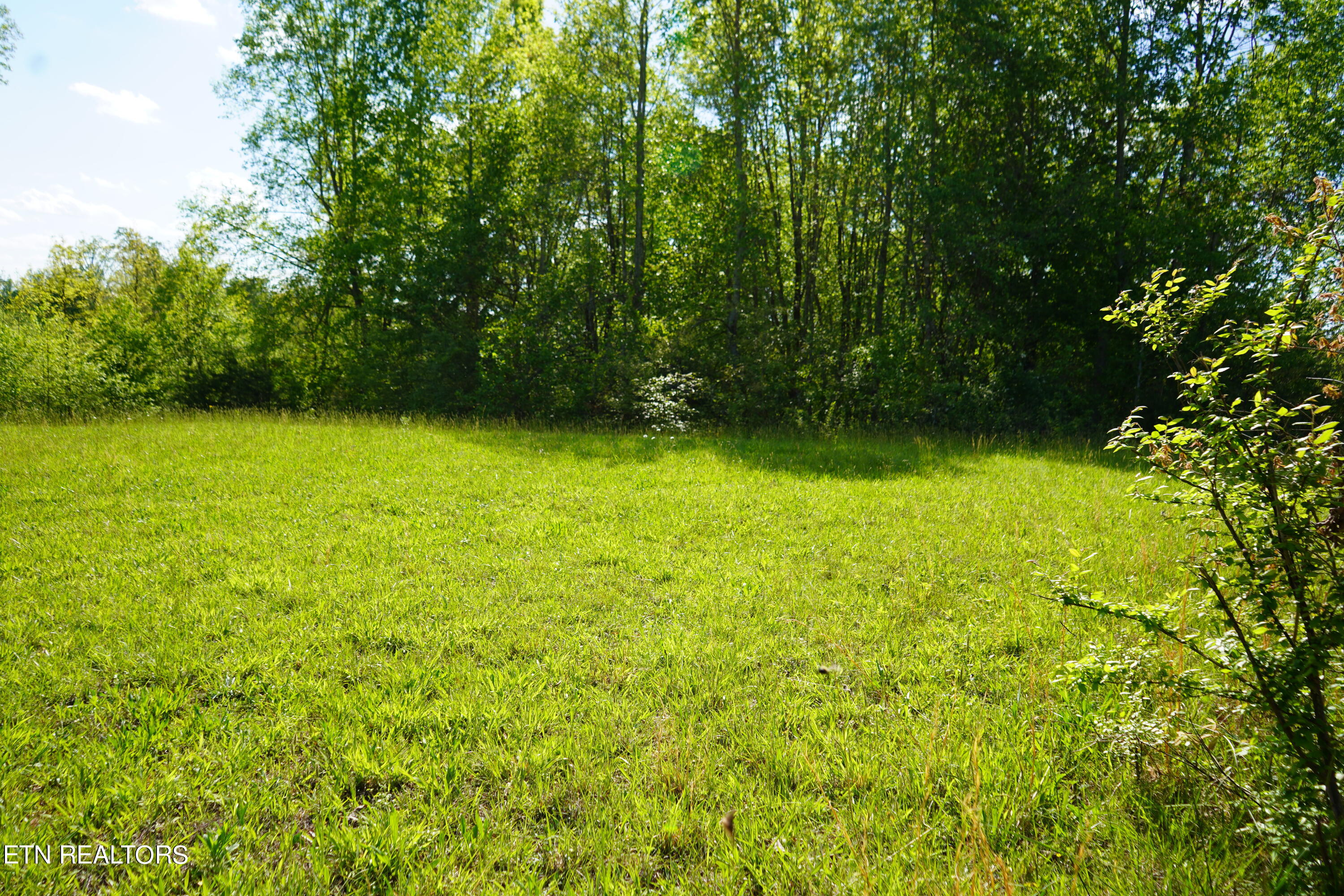 Pollard Road Walling, TN 38587 - Photo 26 of 26 3