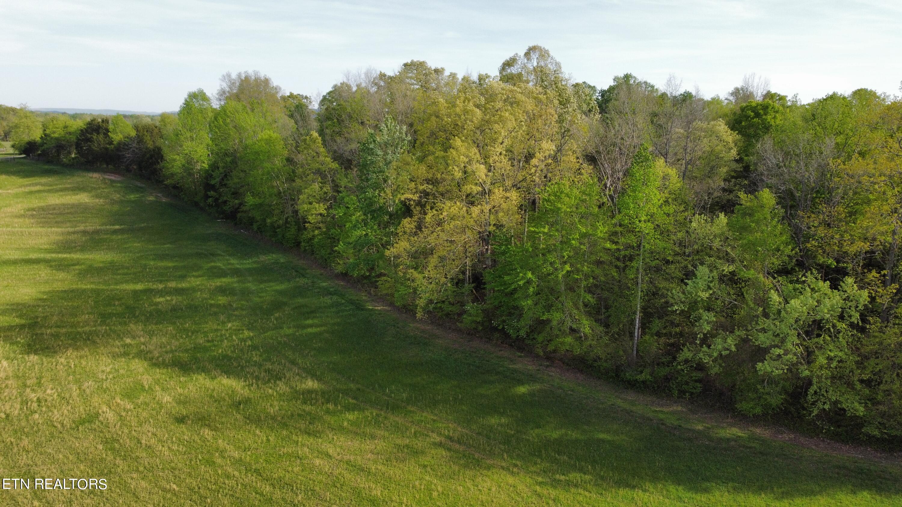 Pollard Road Walling, TN 38587 - Photo 6 of 26 6