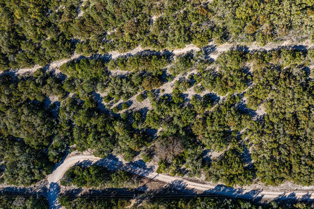 28 Frio Cyn Loop Concan, TX 78838 - Photo 11 of 12 a view of a tree