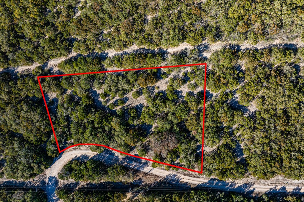 28 Frio Cyn Loop Concan, TX 78838 - Photo 12 of 12 a picture of flowers