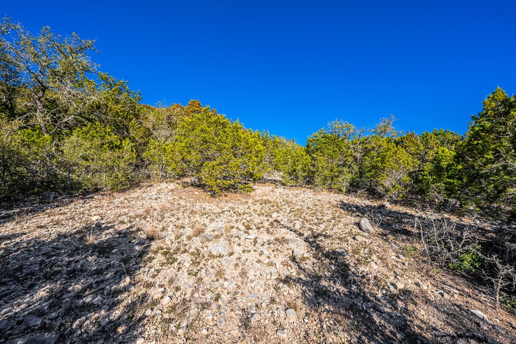 28 Frio Cyn Loop Concan, TX 78838 - Photo 6 of 12 a view of a large yard