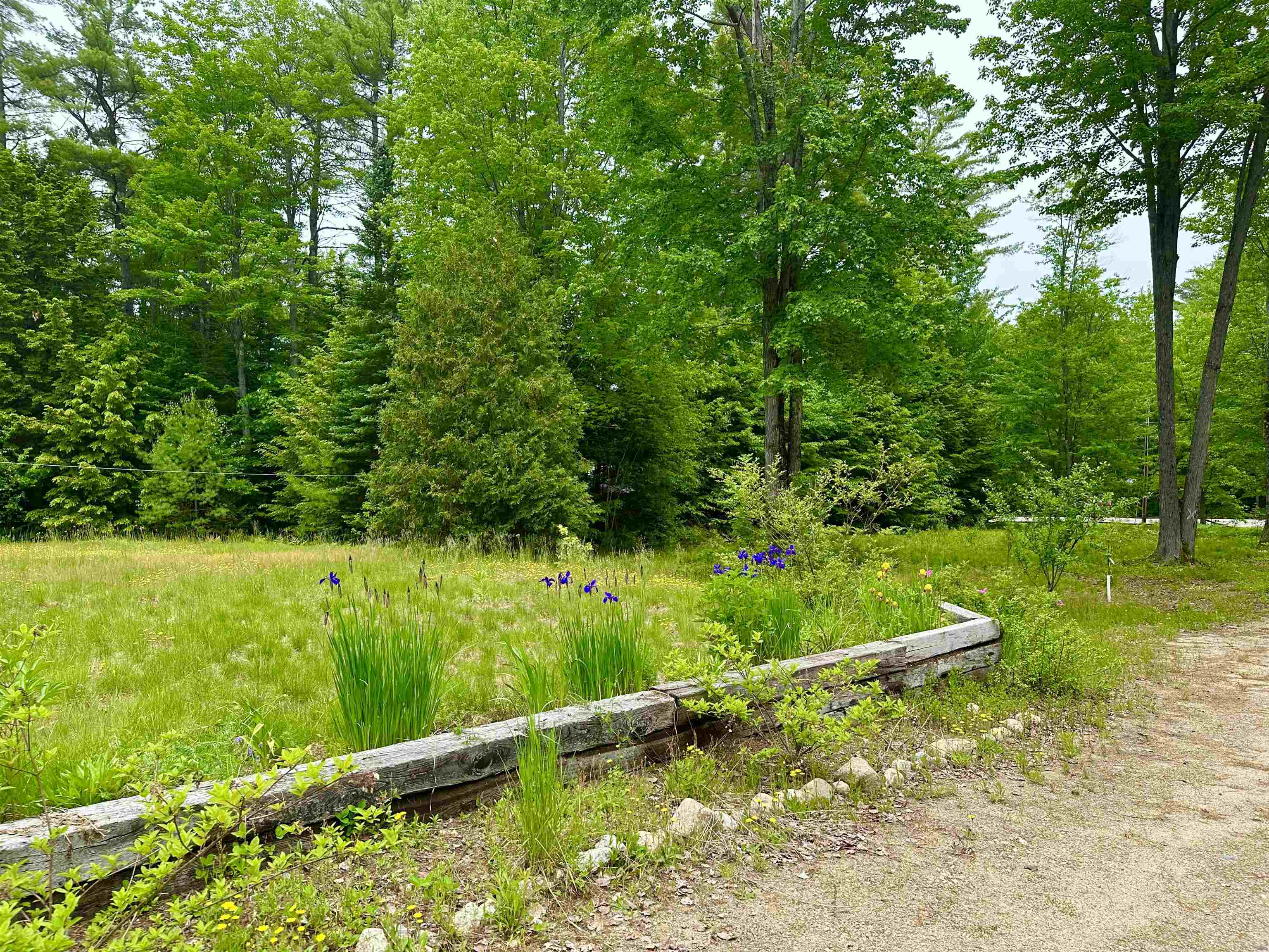 188 Green Hill Road Conway, NH 03813 - Photo 14 of 17