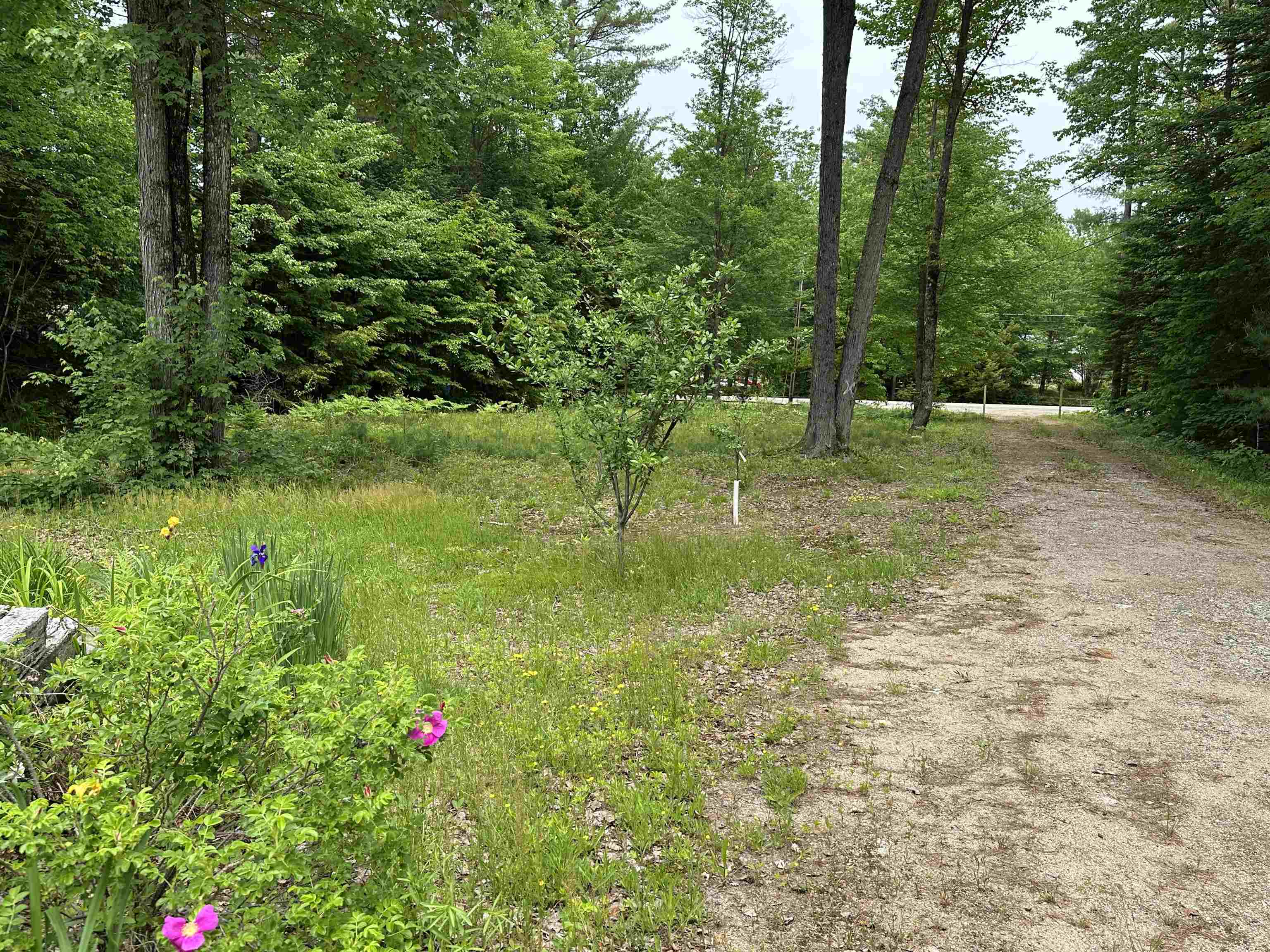 188 Green Hill Road Conway, NH 03813 - Photo 15 of 17