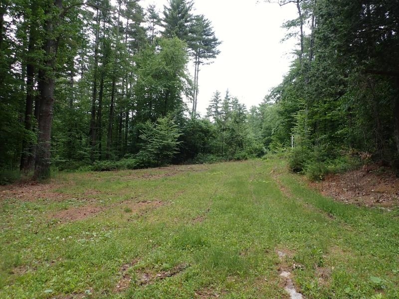 0 Marshall Phillips Road Brandon, VT 05733 - Photo 9 of 27