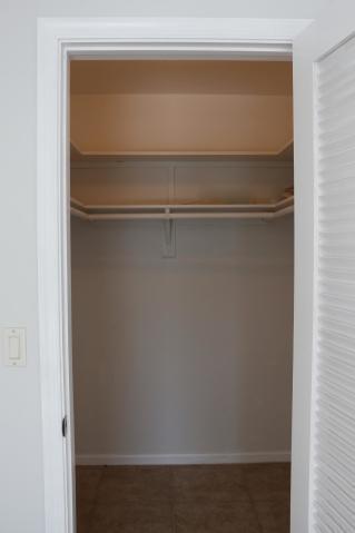 9 Burning Tree Lane Boca Raton, FL 33431 - Photo 17 of 26 a close view of closet
