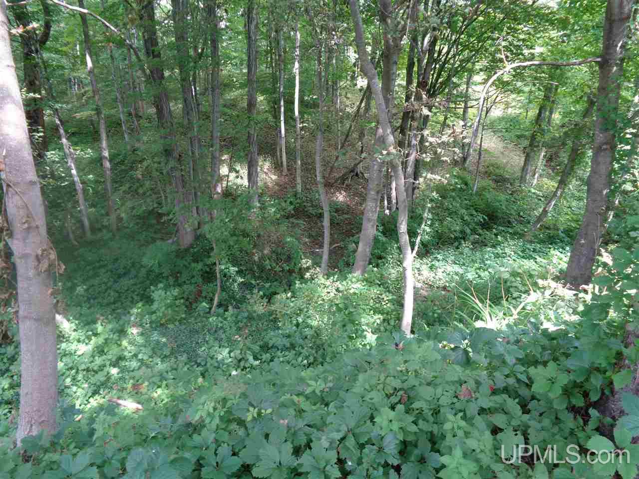42908 Ogima Road Painesdale, MI 49955 - Photo 6 of 23