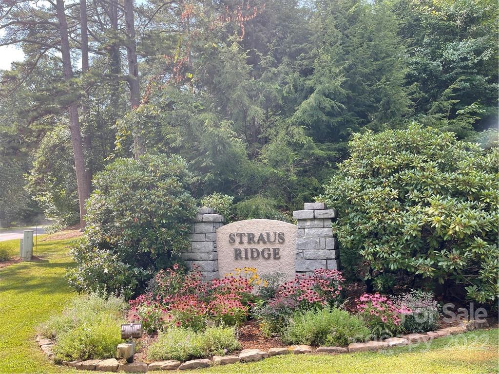73 Ridgetop Circle, Unit 103 Brevard, NC 28712 - Photo 18 of 26 Gallery Image 18