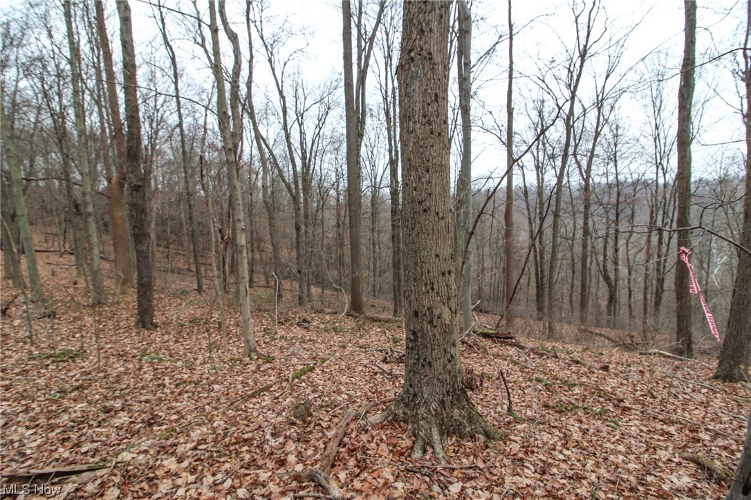 0 Mount Carmel Rdg Road St. Marys, WV 26170 - Photo 4 of 29 View of local wilderness