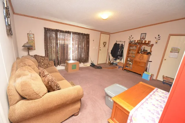 a living room with furniture and a rug