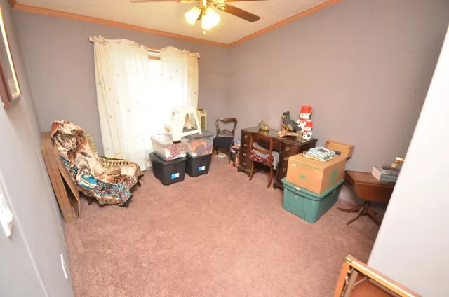 a bed room with furniture and a window