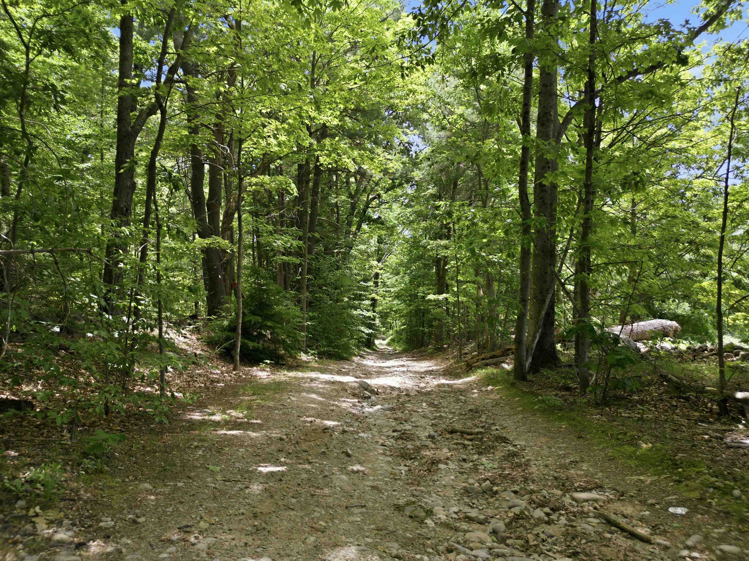 850 Concord Stage Road Weare, NH 03281 - Photo 40 of 44