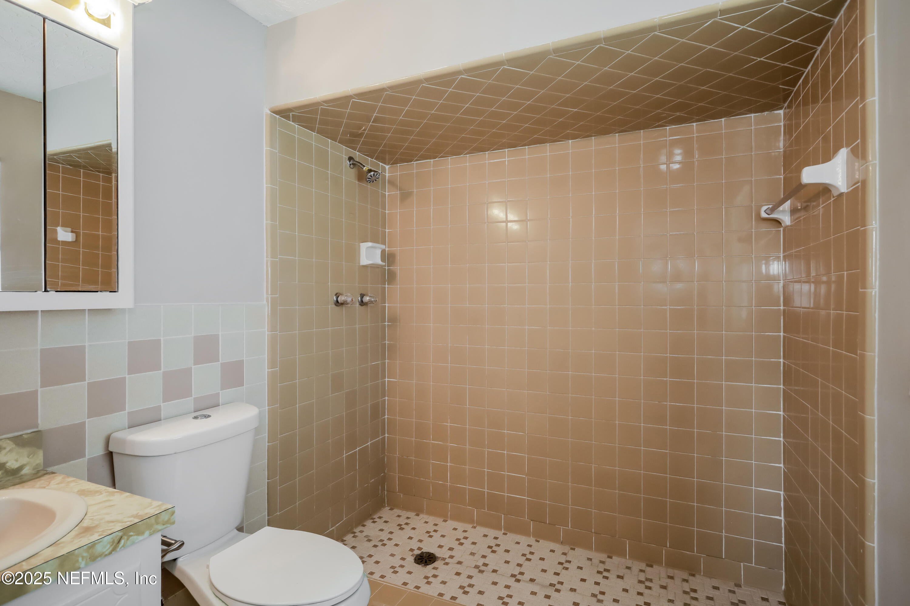 1055 Grove Park Drive Orange Park, FL 32073 - Photo 10 of 15 a bathroom with a shower and a toilet