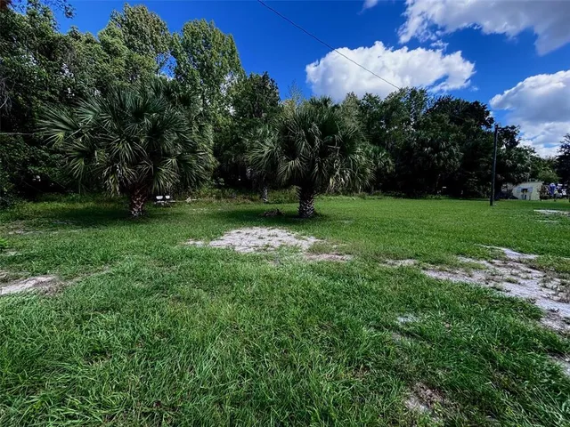 a view of a big yard with large trees