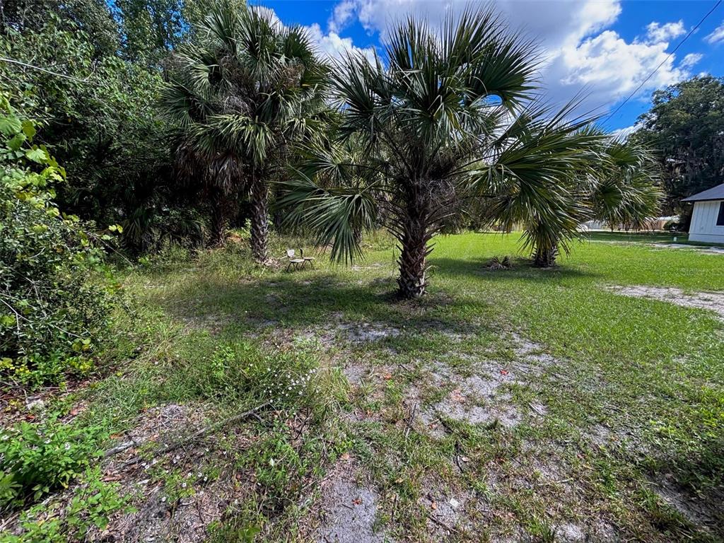 404 Grove Street Melrose, FL 32666 - Photo 12 of 50