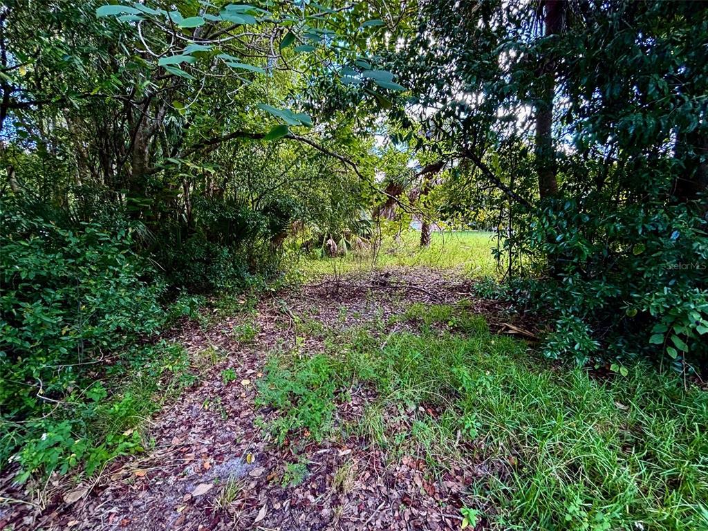 404 Grove Street Melrose, FL 32666 - Photo 12 of 50 a view of outdoor space and garden
