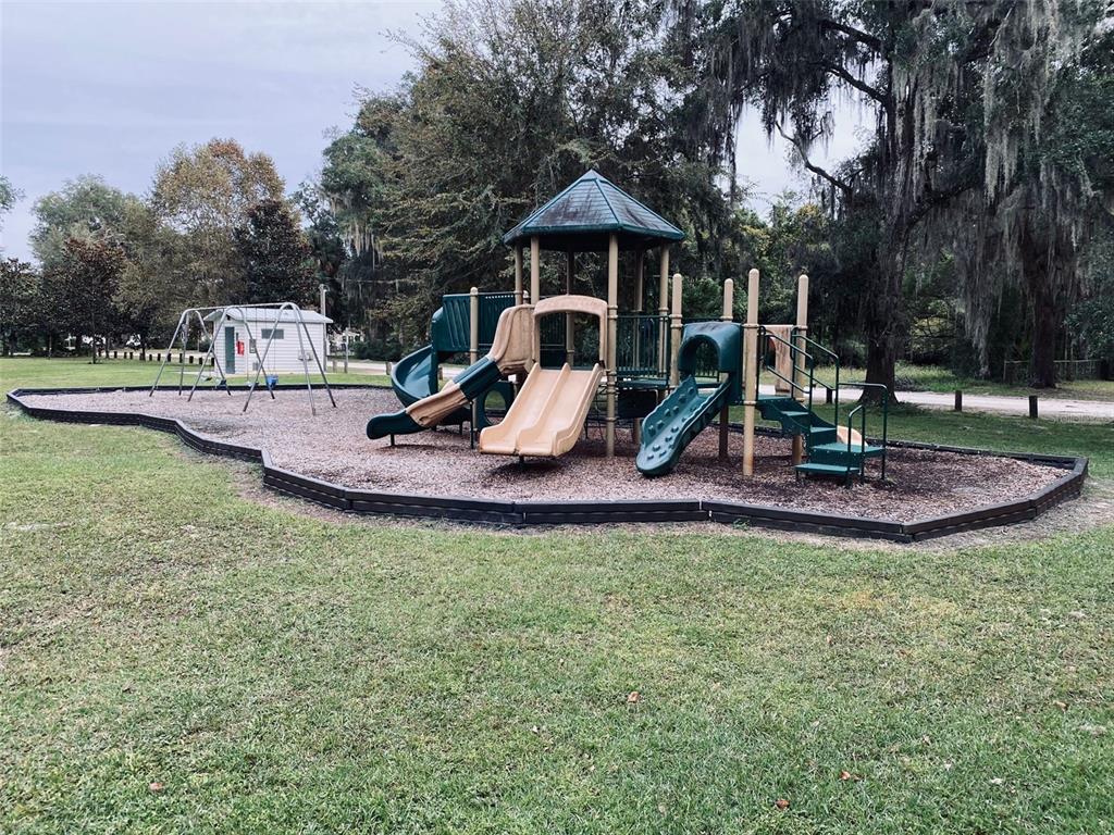 404 Grove Street Melrose, FL 32666 - Photo 28 of 50 a view of a garden with a slide