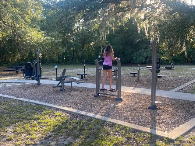 a park view with a slide