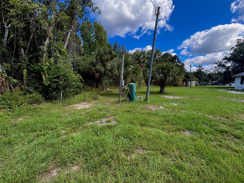 404 Grove Street Melrose, FL 32666 - Photo 4 of 50 a green field with lots of trees