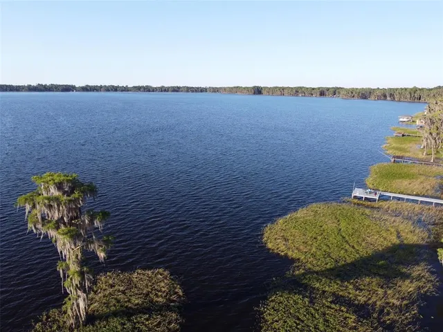 a view of a plant in a garden