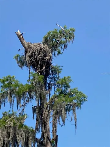 $99,900 | 404 Grove Street, Melrose, FL 32666