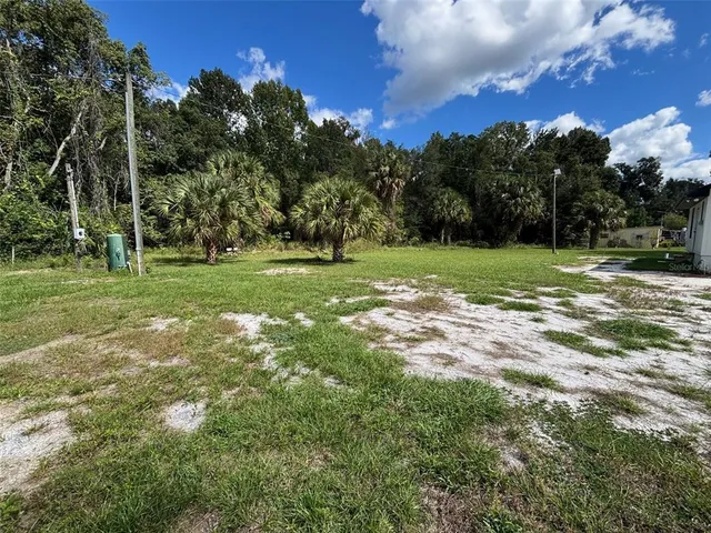 a view of a trees with a big yard