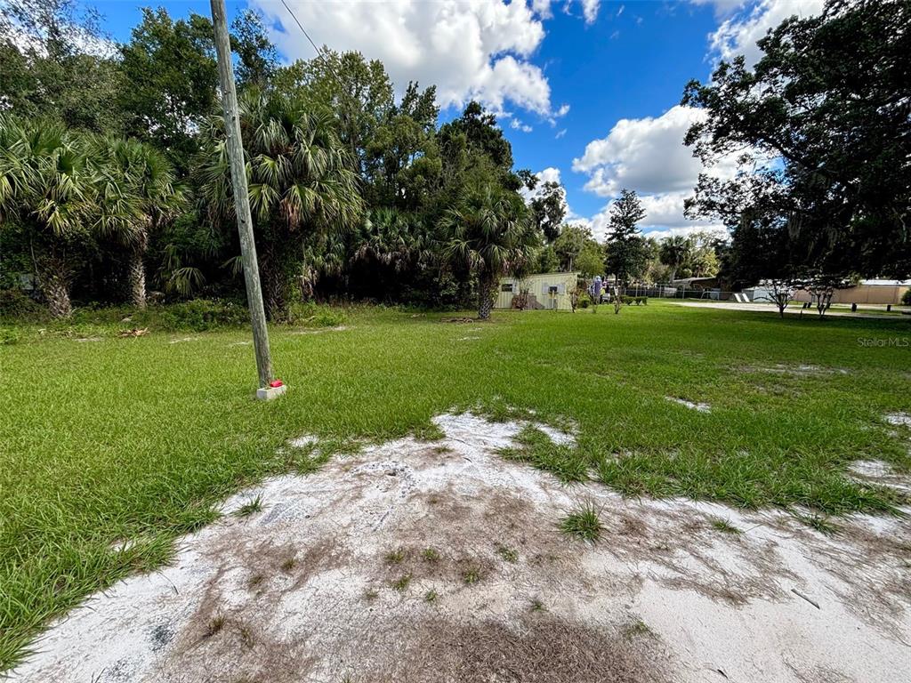 404 Grove Street Melrose, FL 32666 - Photo 6 of 50 a view of a park with large trees