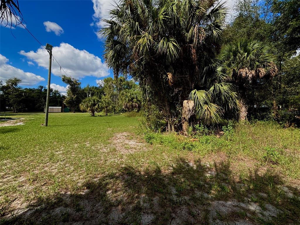 404 Grove Street Melrose, FL 32666 - Photo 7 of 50 a view of a field with a tree