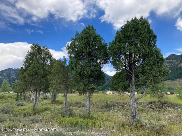 $68,000 | Lot 14 Ponderosa Court, Thayne, WY 83127